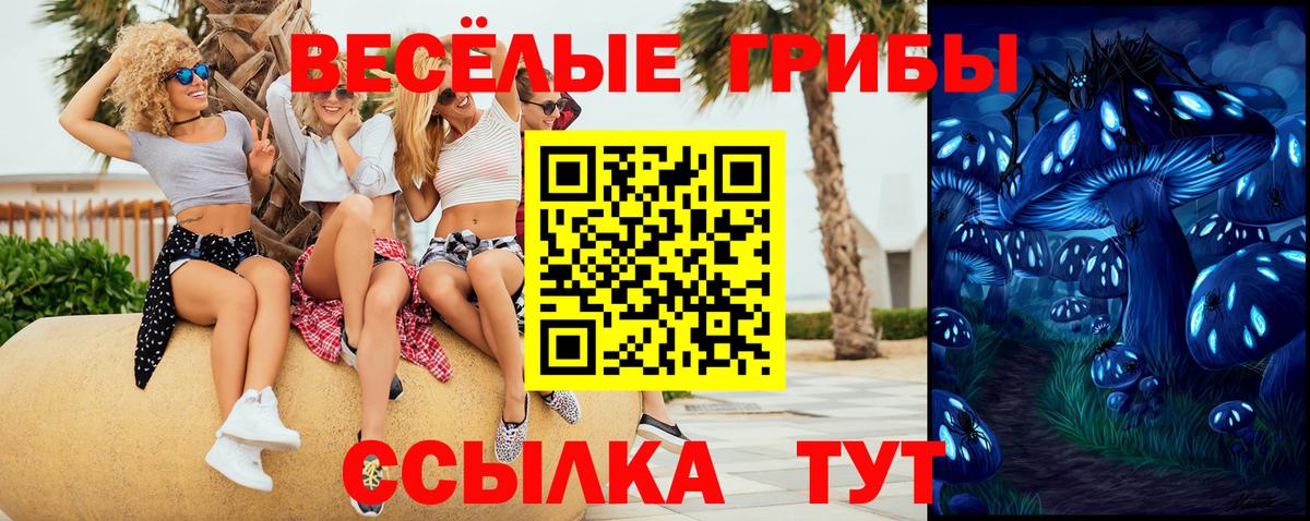 Грязи  Псилоцибиновые грибы ЛСД  Вход с VPN 